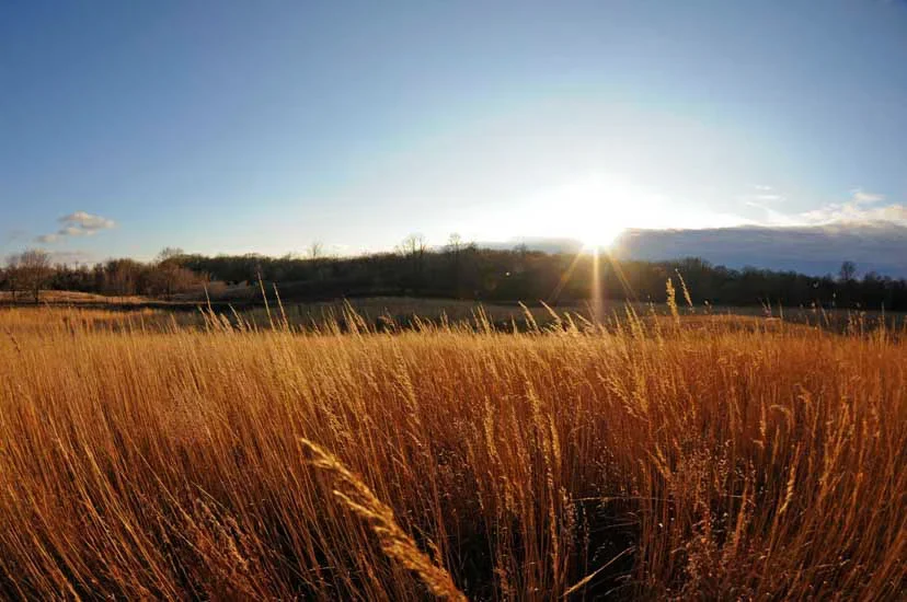 Sunset at Crow-Hassan Park Reserve